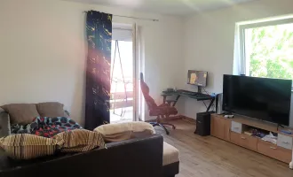 Neu renovierte Garconniére in Ruhelage!
