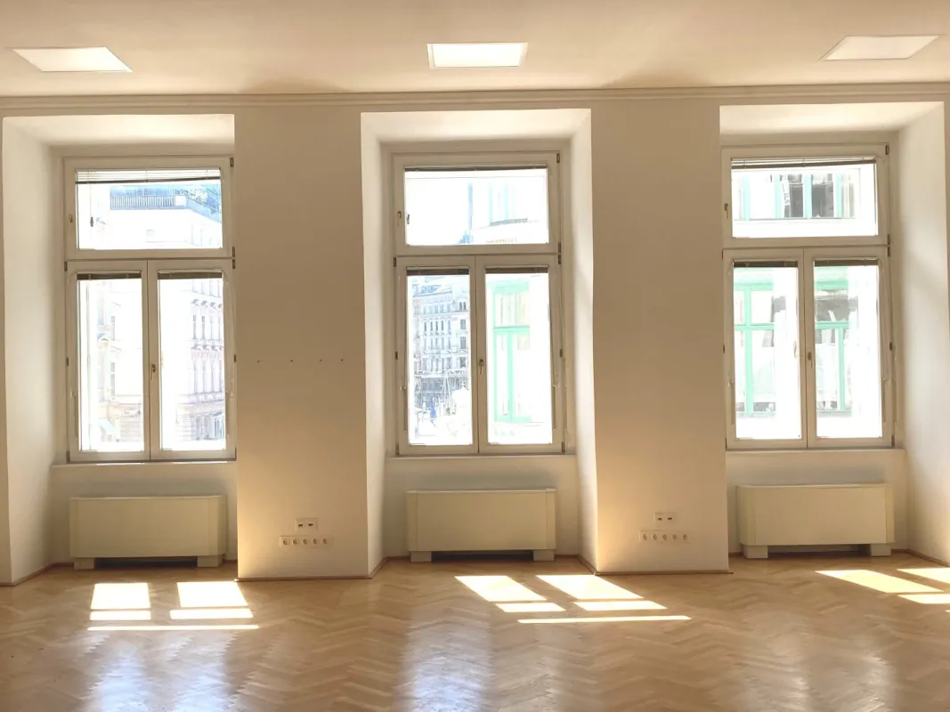 1010! Schöne Bürofläche in Toplage direkt am Graben! - Bild 1