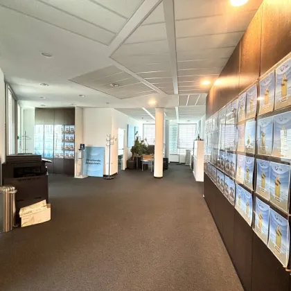 1190! GESCHÄFTSHAUS SKYLINE: Tolle Bürofläche (teilbar) direkt bei U4/Station Spittelau! - Bild 3