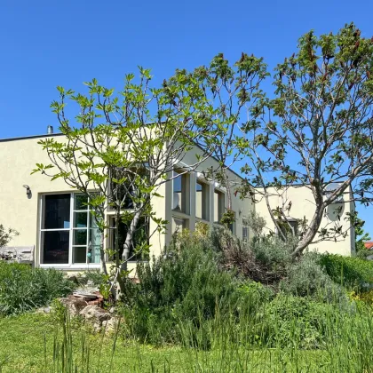 Neusiedler See - moderner Bungalow - Bild 2