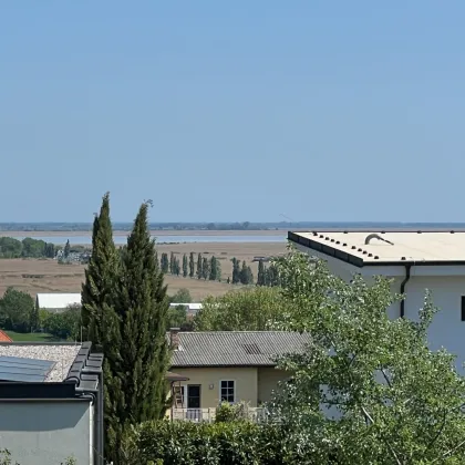 Neusiedler See - moderner Bungalow - Bild 3