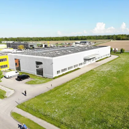 Attraktives Gewerbeobjekt im Gewerbepark Ennsdorf zu vermieten - Bild 2