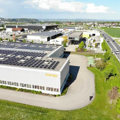 Attraktives Gewerbeobjekt im Gewerbepark Ennsdorf zu vermieten - Bild 3