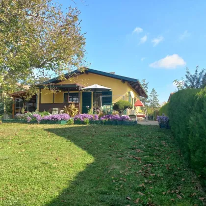 ANLAGEOBJEKT IN HOLLABRUNN!! - Bild 2