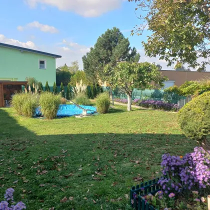 ANLAGEOBJEKT IN HOLLABRUNN!! - Bild 3