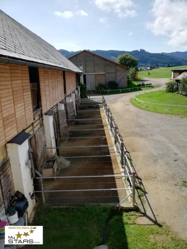 Reiterhof Gut Rosenhof - Bild 1