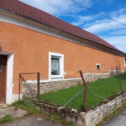 Historischer Bauernhof in Harmanschlag - Bild 2