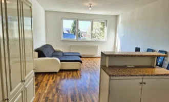 3-Zimmer Wohnung im Bezirk Puntigam