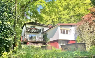 Haus auf der Ries mit eigenem Wald - Option für Zubau