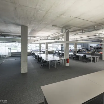 Salzburg Süd - Top Loftstylebüro mieten - Bild 2