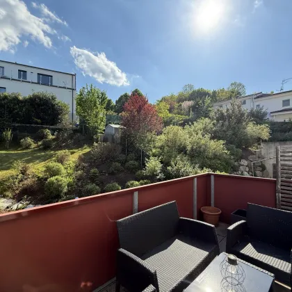 VERKAUFT - Sunny Secret! - Bild 3