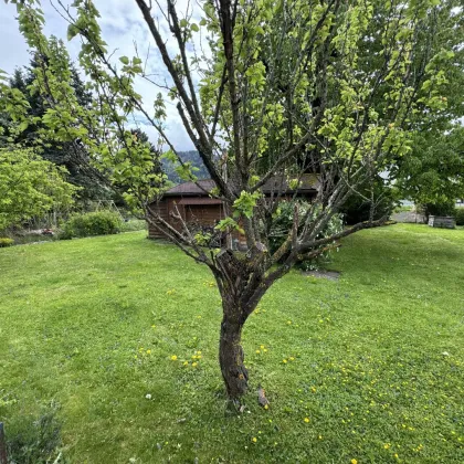 Günstiges Baugrundstück in Hall in Tirol für € 720.- / m² ! - Bild 3