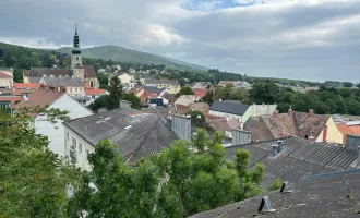 Rohdachboden im Zentrum von Baden