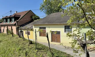 Weinkeller in idyllischer Kellergasse | Nähe Langenlois
