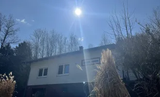 Einfamilienhaus im Grünen