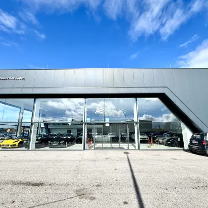 Einzigartiges architektonisches Design I maximale Sichtbarkeit I riesige Außenfläche I Anlageobjekt I befristet vermietet I 4 Autominuten von Ebreichsdorf - Bild 2