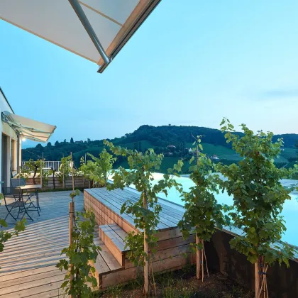 Ideal für Anleger und Eigennutzer – Stilvolles Apartment in der idyllischen Südsteiermark, unweit der Weinberge - Bild 3