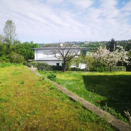 Traumhaftes Baugrundstück in begehrter Ruhelage von Klosterneuburg - Bild 3