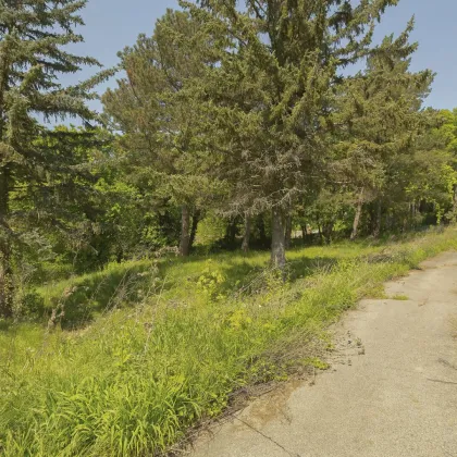 Kreuzwiesengasse - sonniges Baugrundstück (unbebaut) am Schafberg - Bild 2