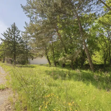 Kreuzwiesengasse - sonniges Baugrundstück (unbebaut) am Schafberg - Bild 3