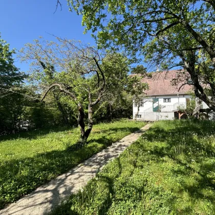 MARIA ENZERSDORF! Charmantes Einfamilienhaus mit wunderschönem Garten! - Bild 3