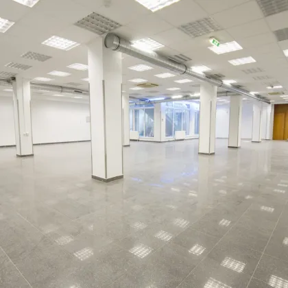 Zentrumslage | 320m² Geschäftslokal mit großen Auslagen | Kundenparkplätze vis à vis - Bild 2
