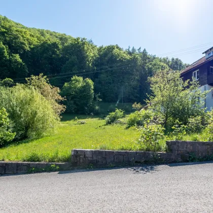 TERNBERG: traumhaftes Baugrundstück, 15 Autominuten von Steyr entfernt! - Bild 2