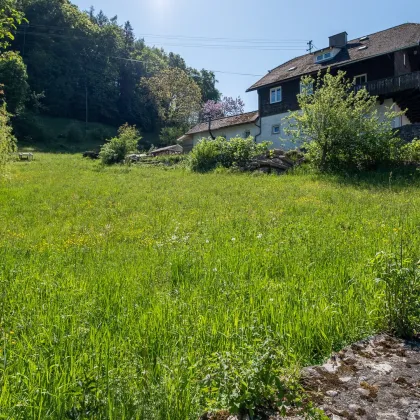 TERNBERG: traumhaftes Baugrundstück, 15 Autominuten von Steyr entfernt! - Bild 3