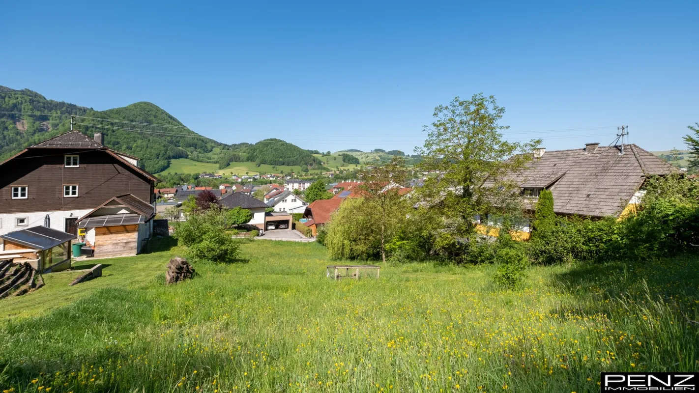 TERNBERG: traumhaftes Baugrundstück, 15 Autominuten von Steyr entfernt! - Bild 1