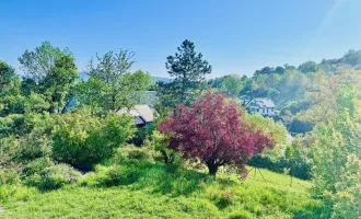 GRUNDSTÜCK MIT TRAUMHAUS UND TRAUMBLICK AM ÖDBERG / SACHSENVIERTEL