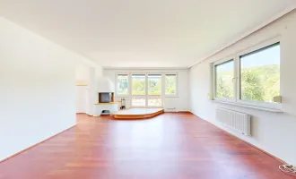 Traumwohnung mit 67m² Sonnenterrasse | 4 Zimmer | Sauna | TG-Stellplatz | Nähe Schloss Laudon