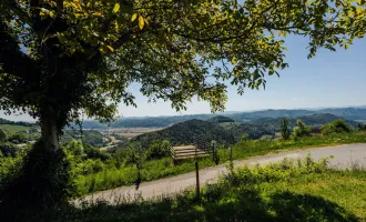 Panoramablick über die Südsteirische Weingegend in Kitzeck im Sausal!