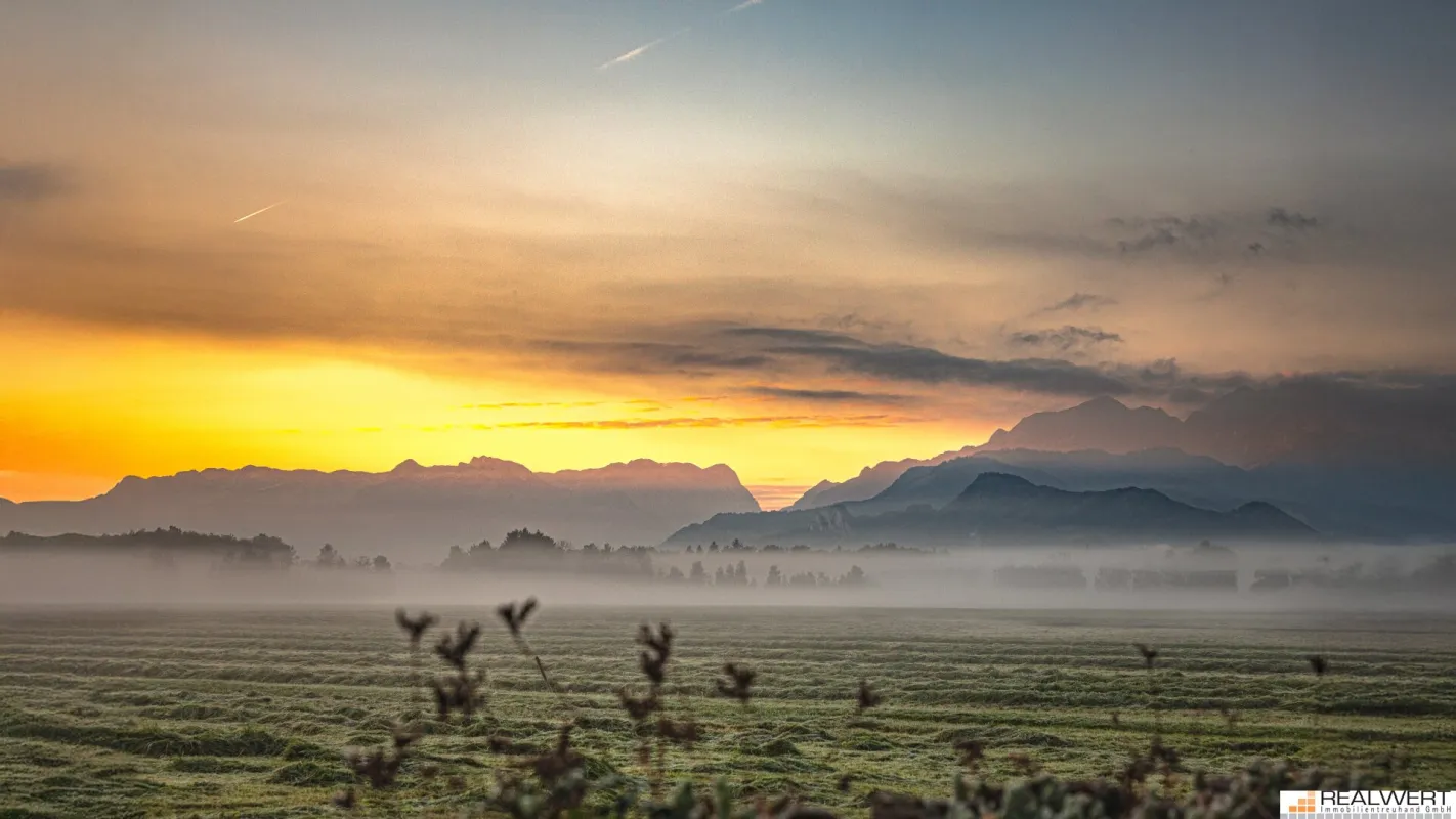 MORGENTAU AM GRÜNLAND | PANORAMAGRUNDSTÜCK LEOPOLDSKRON - Bild 1