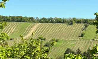 Neustift am Walde: Attraktive ruhig gelegene Wohnung mit Garten und zwei Garagenplätzen