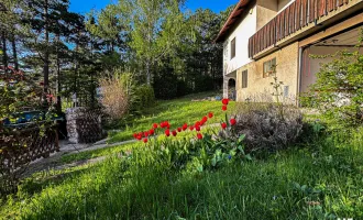 Idyllisches Einfamilienhaus mit Weitblick – Wohnen in Hanglage mit Aussicht - eingebettet in die "Neue Welt"