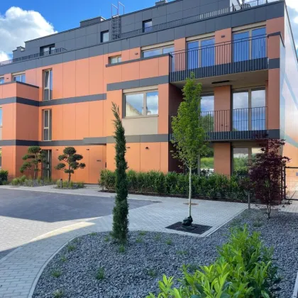 EXKLUSIVE EIGENTUMSWOHNUNGEN IN ACHAU - STADTNAH WOHNEN, IM GRÜNEN LEBEN - Bild 3