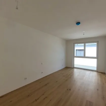 Wiener Rarität am Wasser – Wohnung auf Eigengrund mit Ausblick zum Verlieben - Bild 2