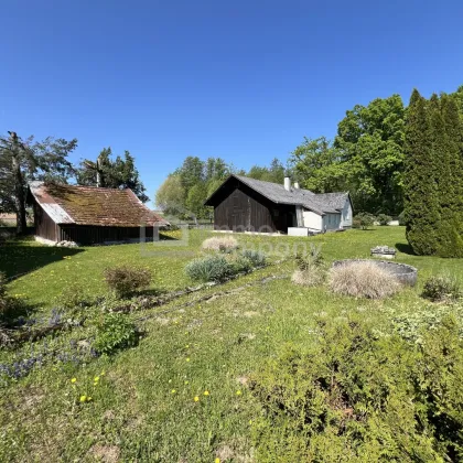 Baugrundstück mit Entwicklungspotenzial in ruhiger Lage – Nähe Wels - Bild 2