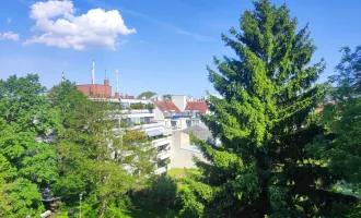 SELBER GARTELN : Nähe Selbsterntegarten Ketzergasse!