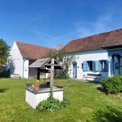 Schandorf: Typisch südburgenländisches Landhaus - Bild 2