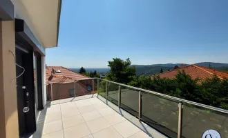 Familientraum mit Garten und Dachterrasse in Klosterneuburg - Provisionsfrei!