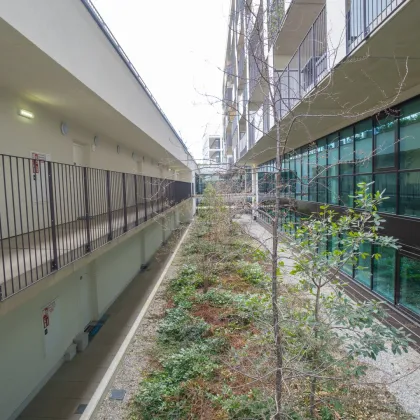 Exklusive Penthouse-Wohnung mit großzügigem Balkon und drei Schlafzimmern_89 - Bild 2