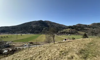 Einzigartiges Baugrundstück in Prenning bei Deutschfeistritz – 3.700 m², aufteilbar in 7 Parzellen