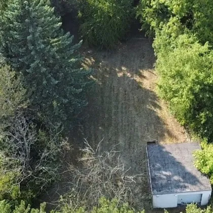 Traumhaftes Baugrundstück mit      Garage in Bad Fischau-Brunn - Bild 3