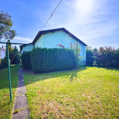 Ihr Rückzugsort im Speckgürtel Wiens: Einfamilienhaus mit Garten und Terrasse in Wiener Neudorf. - Bild 3