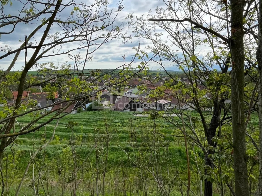 Verborgener Schatz im Reintal - ein Weinviertler Wohnjuwel mit Potenzial - Bild 1