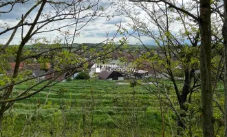Verborgener Schatz im Reintal - ein Weinviertler Wohnjuwel mit Potenzial