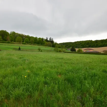 BAUGRUNDSTÜCK  am Ortsrand in toller Lage - Bild 3