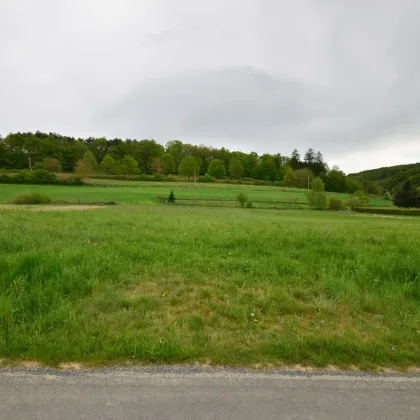 BAUGRUNDSTÜCK  am Ortsrand in toller Lage - Bild 2