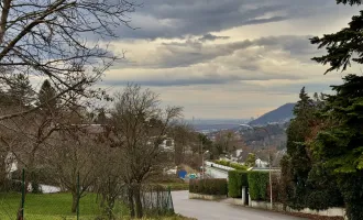 BAUGRUNDSTÜCK AM ÖLBERG KLOSTERNEUBURG - TEILBAR AUF 2 GRUNDSTÜCKE